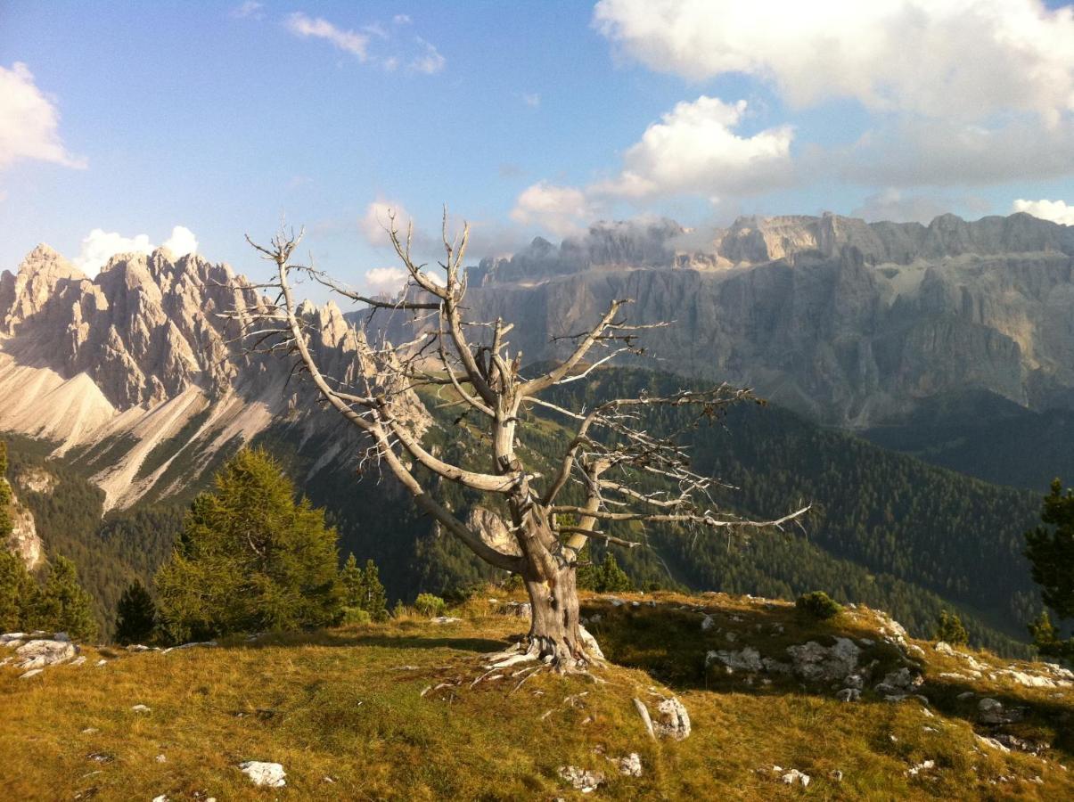 Piz Alpin B&B Colfosco Exteriér fotografie