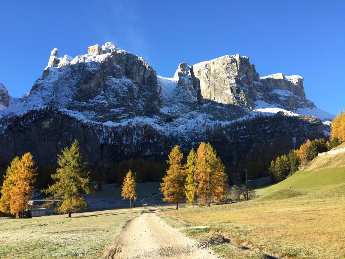Piz Alpin B&B Colfosco Exteriér fotografie